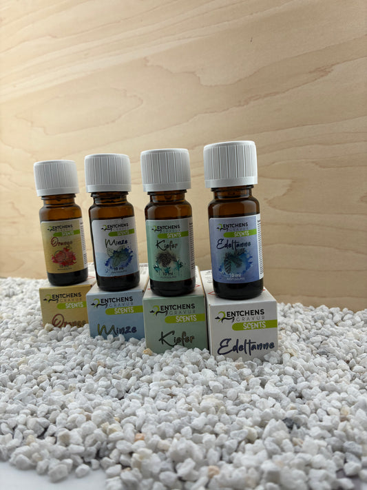 🧴 Duftöl für Holzanhänger – Minze, Orange, Kiefer, Edeltanne oder 4er-Set (je 10 ml)